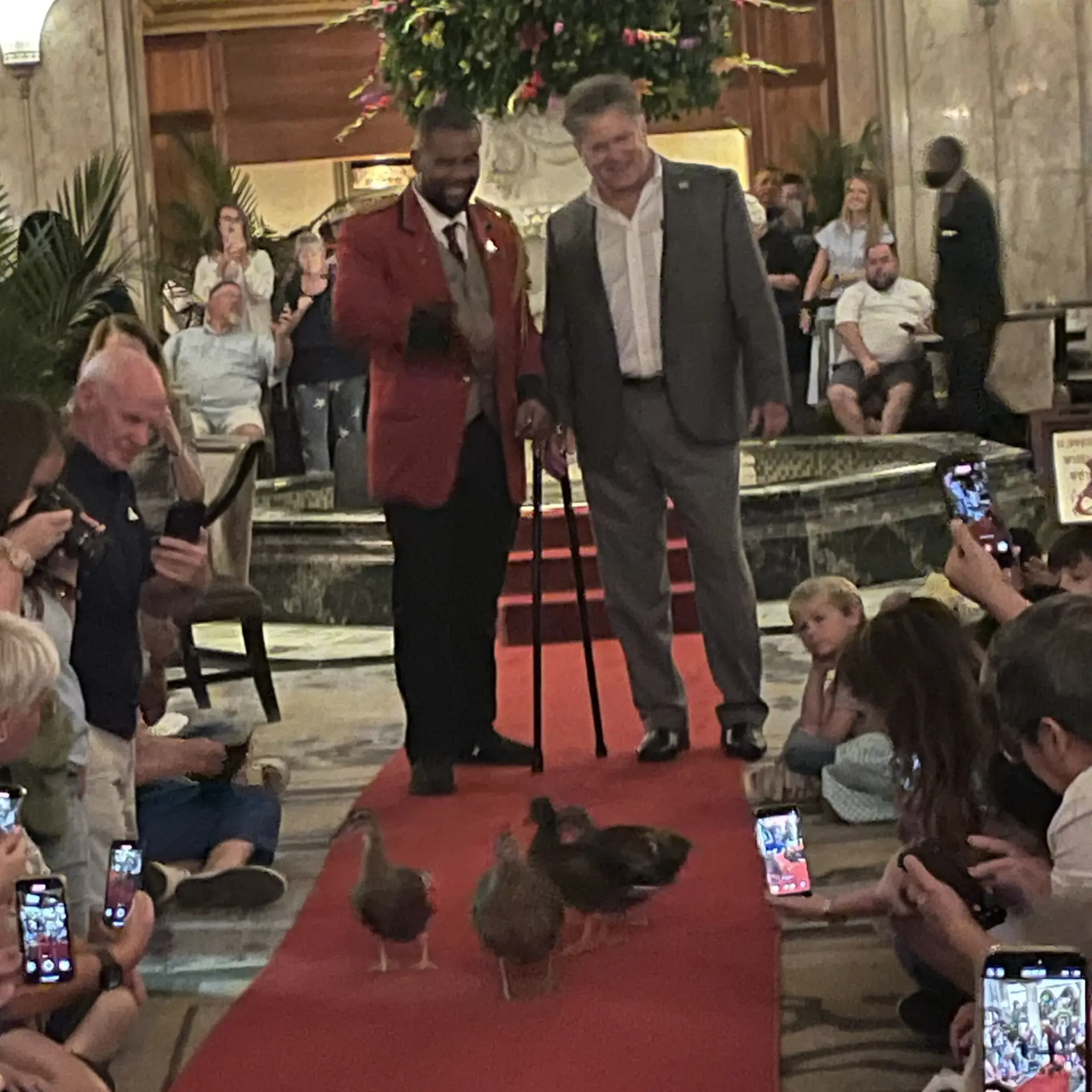 Ducks Headed To Elevator